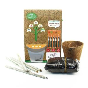 Plant-A-Pencil-Kit-SPS-02-main-T-560x560