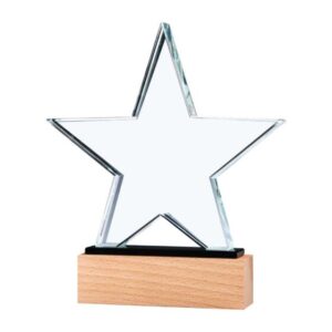 Star-Shape-Crystal-Awards-CR-55-Blank-560x560